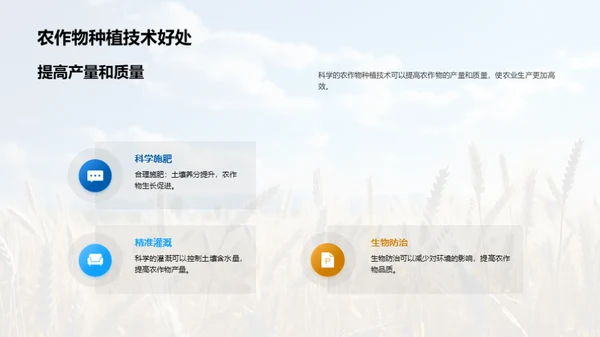 农业种植：智慧之选