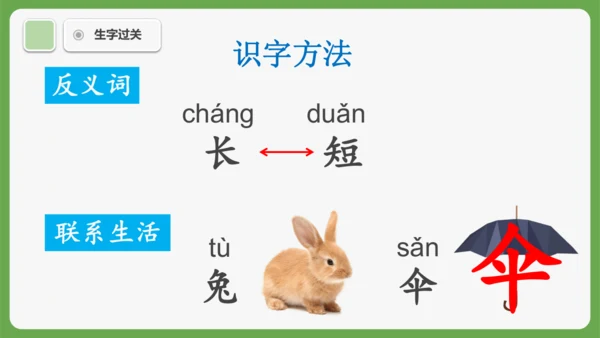 8《比尾巴》课件
