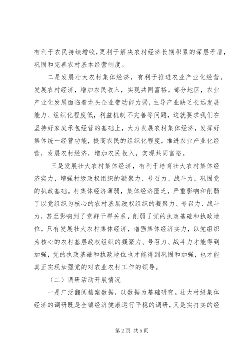 壮大村集体经济调研报告.docx