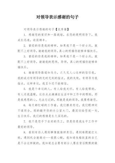 对领导表示感谢的句子.docx