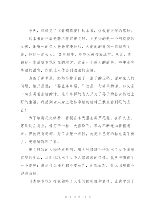 青铜葵花寒假阅读心得10篇.docx