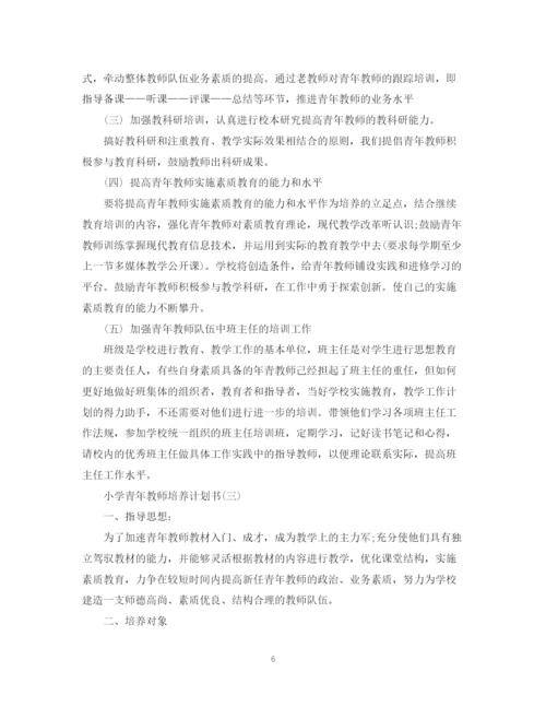 精编之小学青年教师培养计划书范文.docx