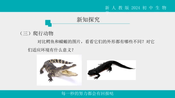 人教版生物七年级上册2.2.2《脊椎动物》（第1课时）课件(共42张PPT)+视频素材