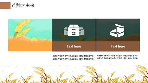 二十四节气芒种介绍通用PPT模板