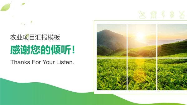 绿色茶山农业种植项目汇报通用PPT模板