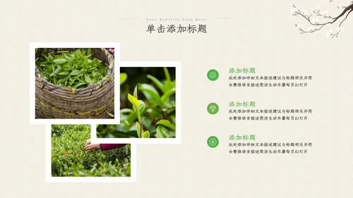 茶叶茶艺茶道春茶绿茶农村旅游茶园茶文化ppt
