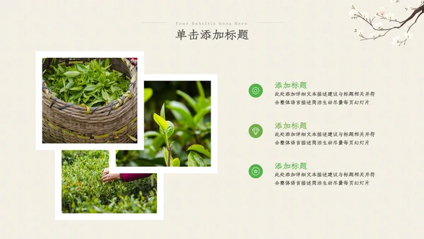 茶叶茶艺茶道春茶绿茶农村旅游茶园茶文化ppt