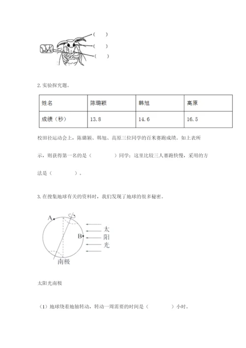 教科版小学科学三年级下册期末测试卷a4版.docx