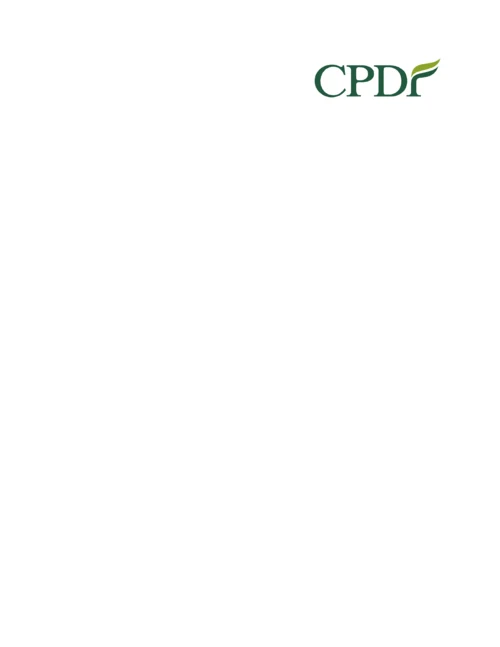 咨询顾问标准手册中英文.docx