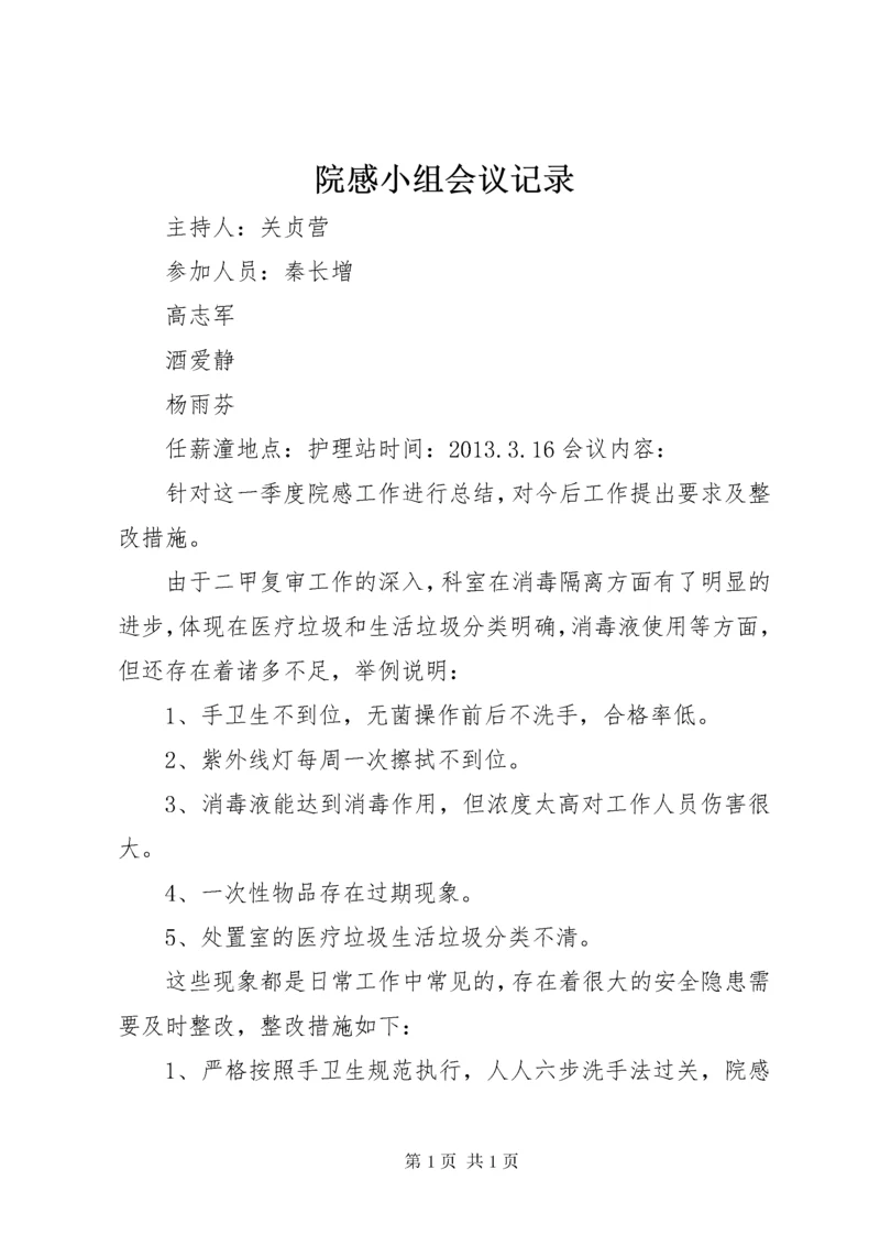 院感小组会议记录.docx