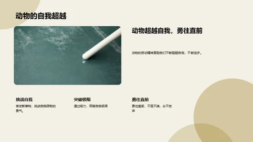 动物劳动的智慧