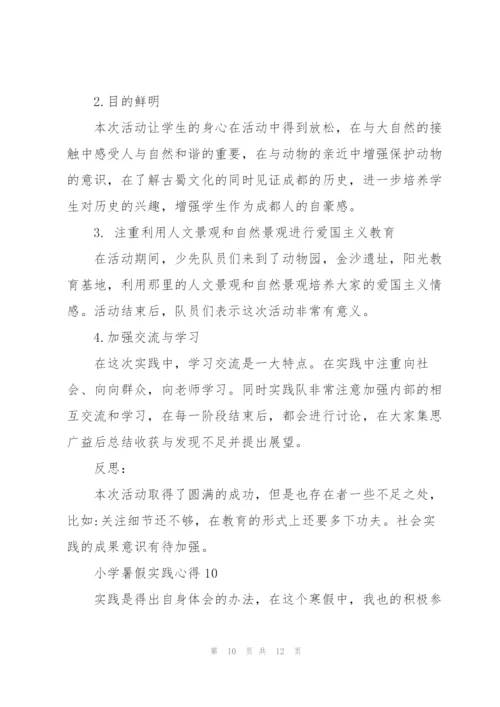 小学暑假实践心得范文十篇.docx