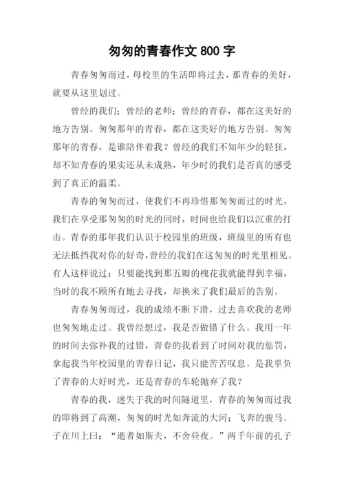 匆匆的青春作文800字.docx