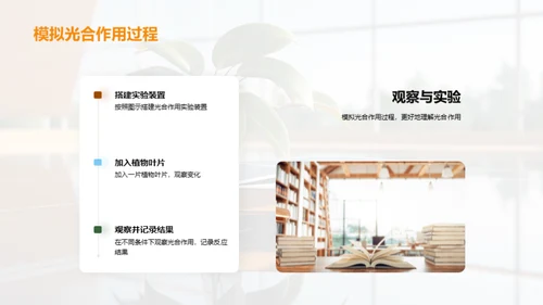 绿色能源之源