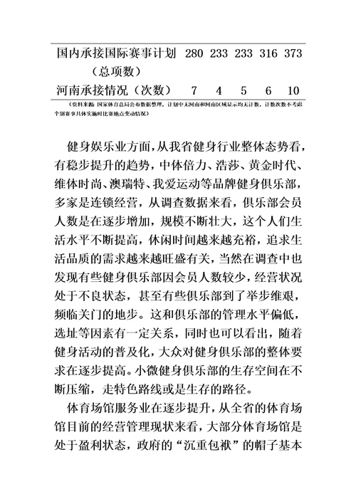 河南省体育产业业态发展战略分析李红涛