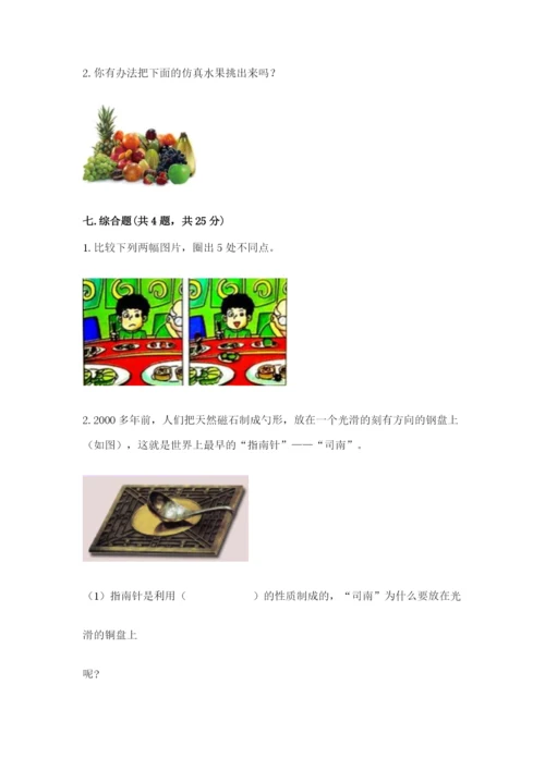 教科版二年级下册科学知识点期末测试卷附答案【模拟题】.docx