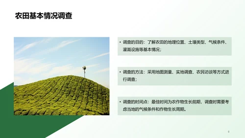 绿色插画农田观察与体验研究报告PPT模板