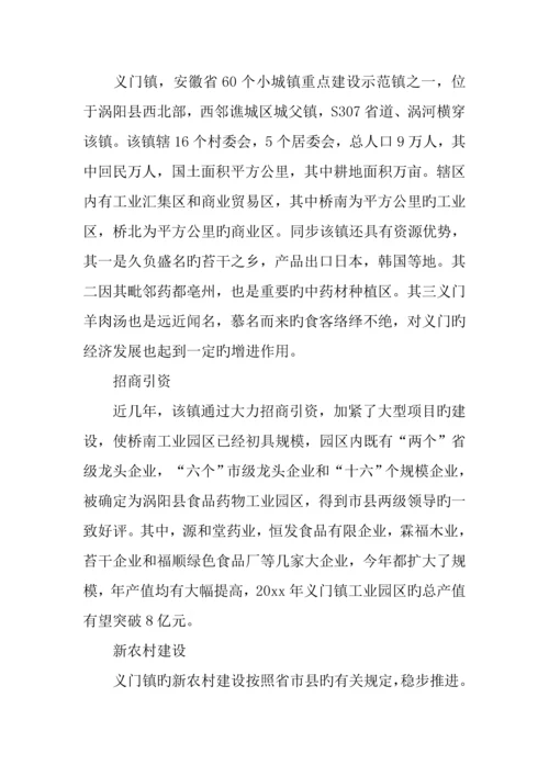 乡镇调查报告.docx