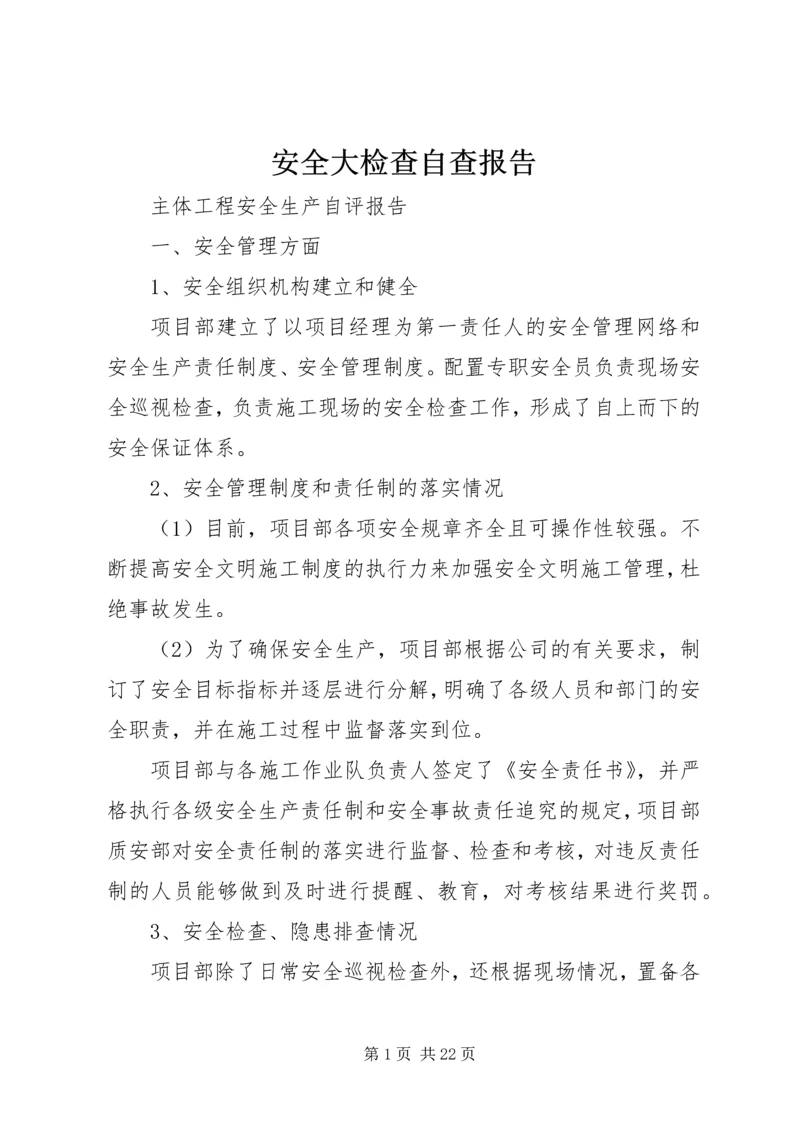 安全大检查自查报告 (12).docx