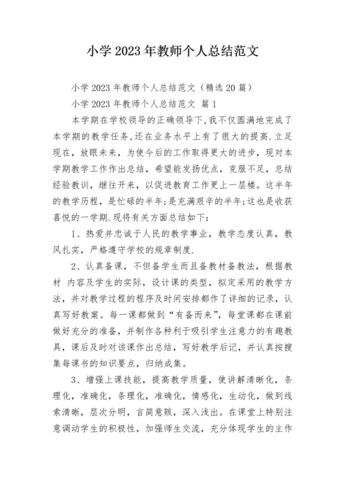 小学2023年教师个人总结范文.docx