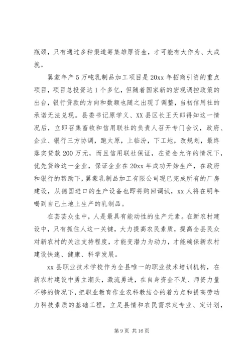 全县新农村建设纪实 (3).docx