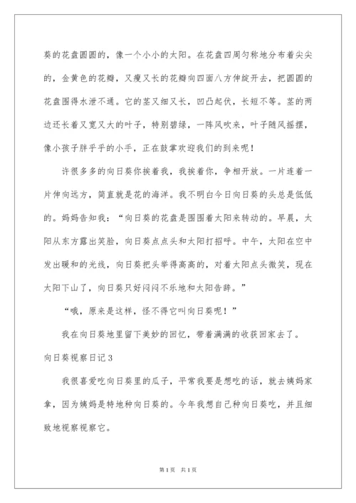 2022向日葵观察日记.docx