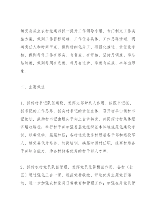党支部书记抓党建项目立项书.docx