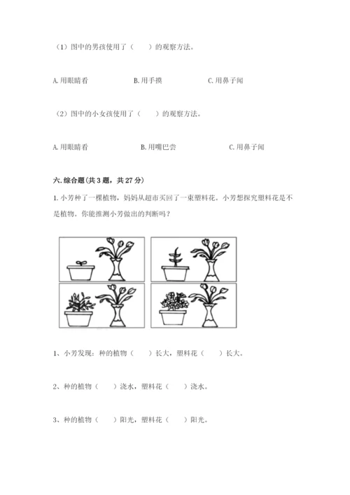 教科版一年级上册科学期末测试卷附答案【巩固】.docx