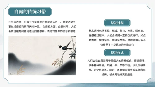 绿色中国风风格格白露节气介绍PPT模板