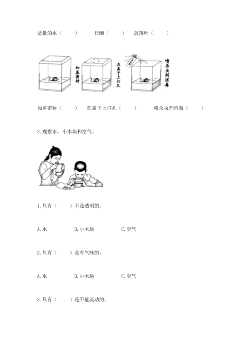 教科版一年级下册科学期末测试卷精品【全优】.docx