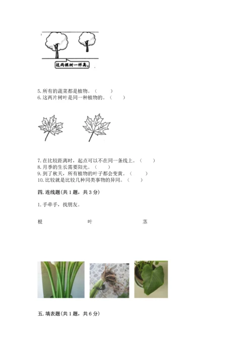 教科版一年级上册科学期末测试卷精品（含答案）.docx