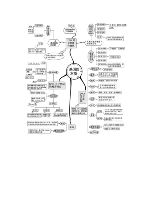 高中生物思维导图.docx