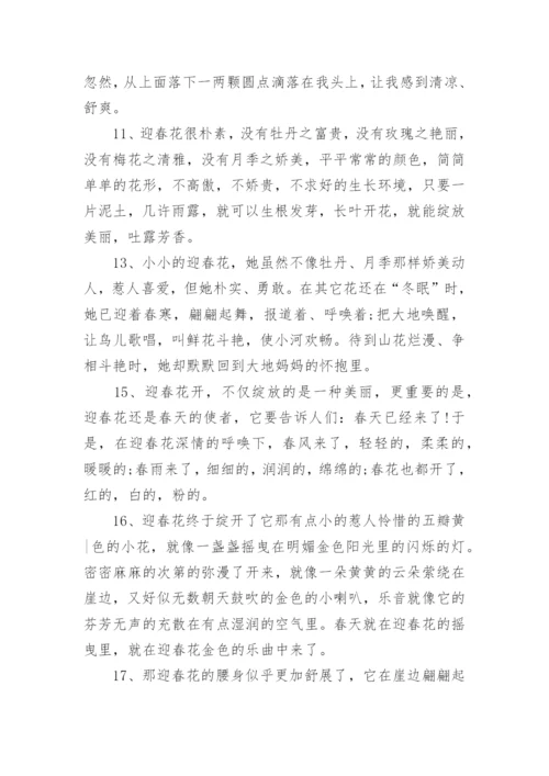 描写迎春花好句好段.docx