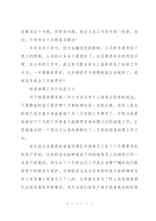 销售助理工作计划范文.docx