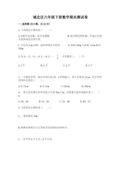 城北区六年级下册数学期末测试卷完美版.docx