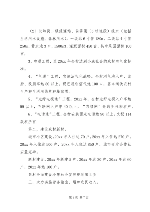 村全面建设小康社会发展规划 (7).docx