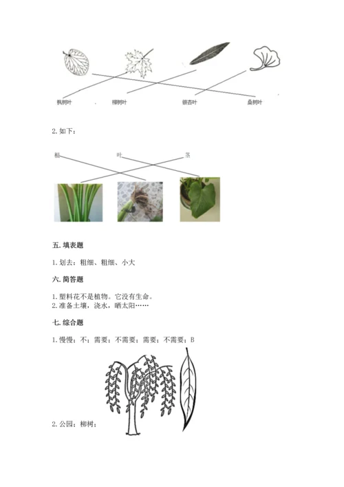 教科版科学一年级上册第一单元《植物》测试卷【研优卷】.docx