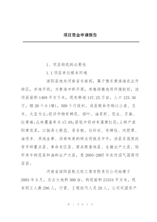 项目资金申请报告.docx