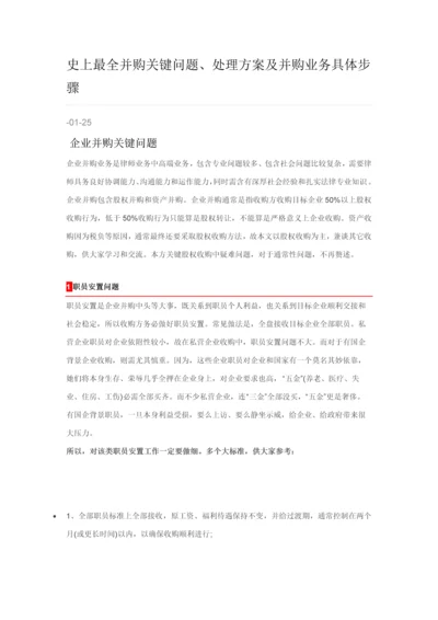 史上最全并购的关键问题解决专业方案及并购业务具体步骤.docx