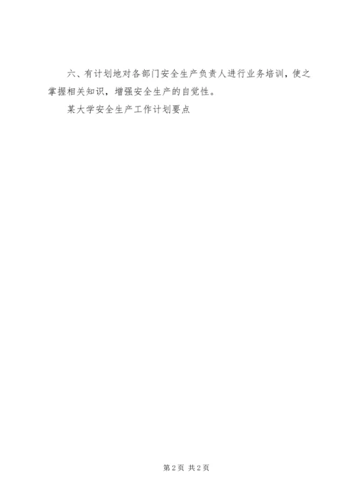 某大学安全生产工作计划要点 (2).docx