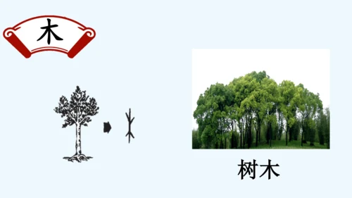 2.金木水火土  教学课件
