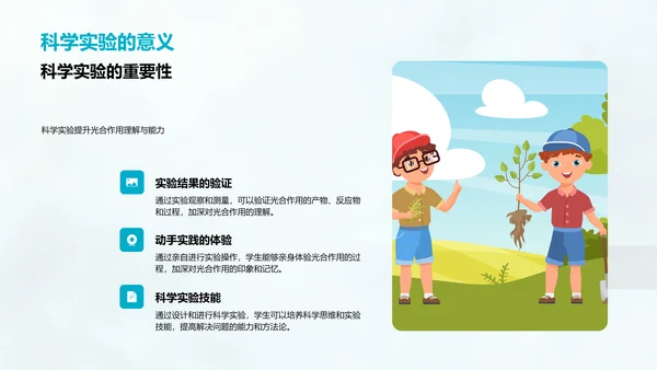 生物教学光合作用解析