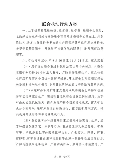 联合执法行动方案.docx