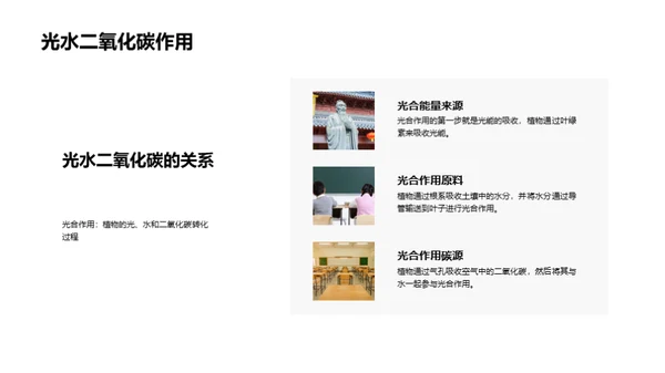 揭秘植物生命