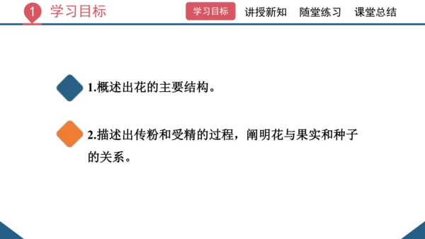 3.2.3  开花和结果  课件-2023-2024学年人教版生物七年级上册(共27张PPT)