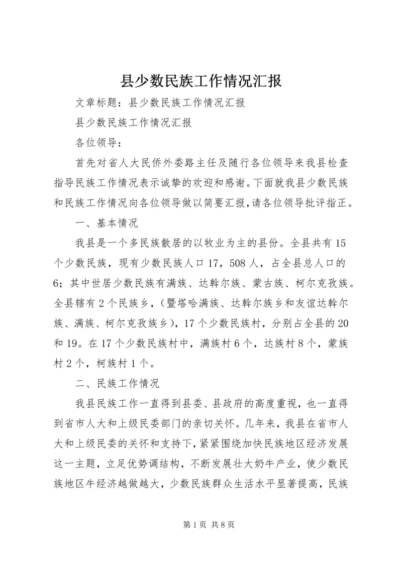 县少数民族工作情况汇报.docx