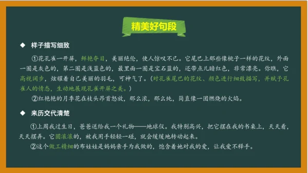 统编版语文五年级上册 第一单元习作： 我的心爱之物课件