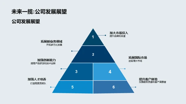 房产业绩与未来展望