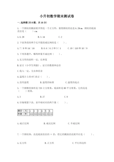 小升初数学期末测试卷（典型题）.docx
