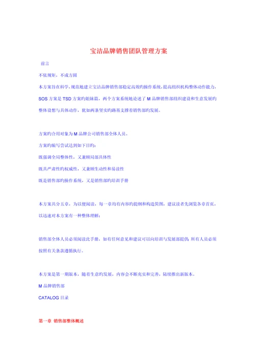 企业品牌销售团队管理专题方案.docx